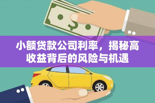大祥小额贷款公司利率，揭秘高收益背后的风险与机遇
