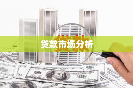 大祥贷款市场分析