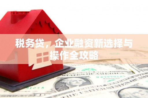 大祥税务贷，企业融资新选择与操作全攻略
