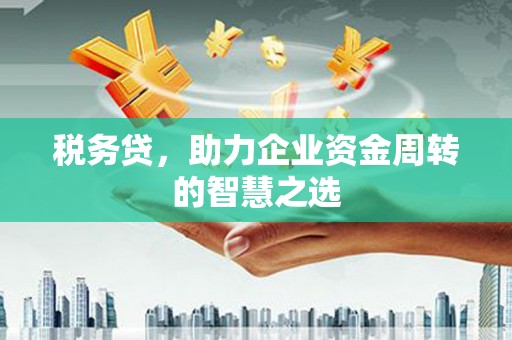 大祥税务贷，助力企业资金周转的智慧之选