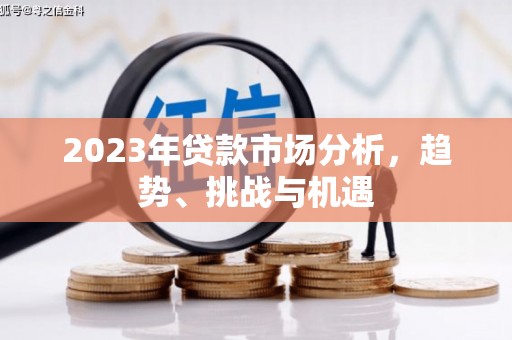 大祥2023年贷款市场分析，趋势、挑战与机遇
