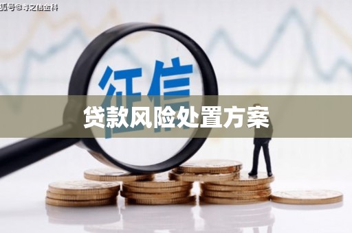 大祥贷款风险处置方案