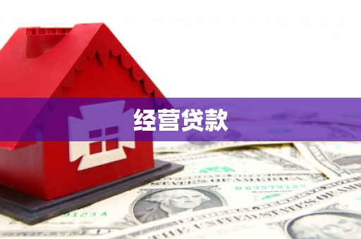 大祥经营贷款