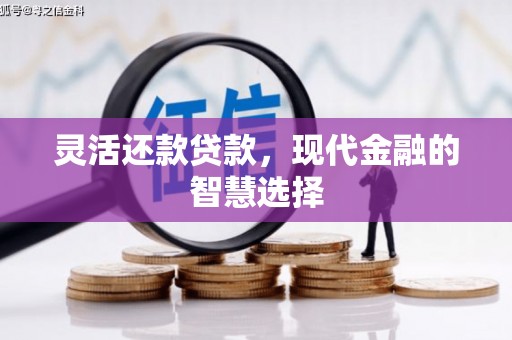 大祥灵活还款贷款，现代金融的智慧选择