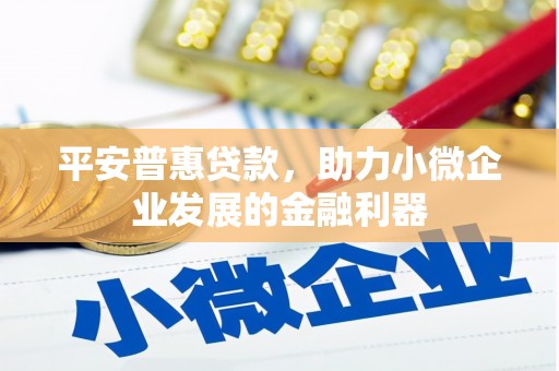 大祥平安普惠贷款，助力小微企业发展的金融利器