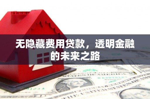 大祥无隐藏费用贷款，透明金融的未来之路