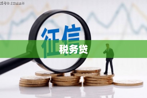大祥税务贷