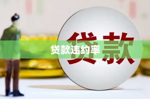 大祥贷款违约率