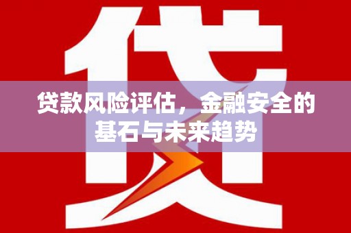 大祥贷款风险评估，金融安全的基石与未来趋势