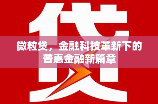 大祥微粒贷，金融科技革新下的普惠金融新篇章