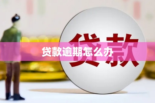 大祥贷款逾期怎么办