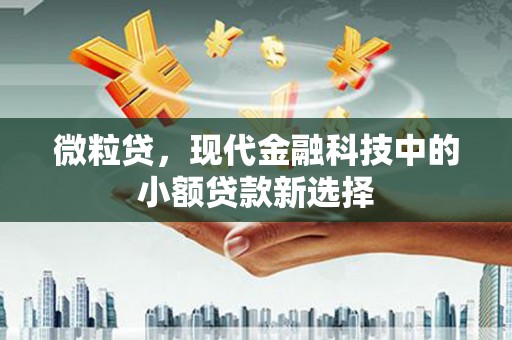 大祥微粒贷，现代金融科技中的小额贷款新选择