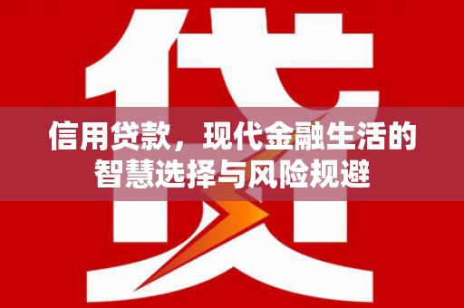 大祥信用贷款，现代金融生活的智慧选择与风险规避