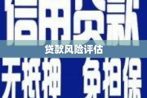 大祥贷款风险评估