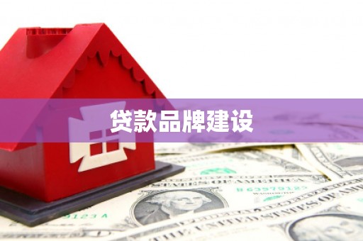 大祥贷款品牌建设