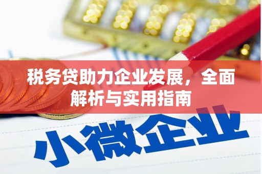 大祥税务贷助力企业发展，全面解析与实用指南