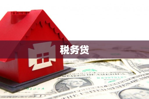 大祥税务贷