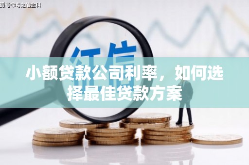 大祥小额贷款公司利率，如何选择最佳贷款方案