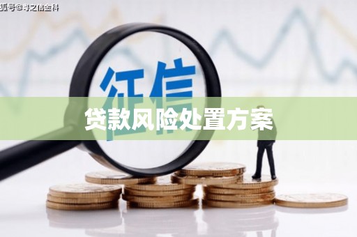 大祥贷款风险处置方案
