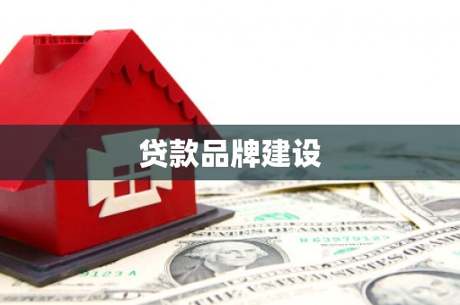 大祥贷款品牌建设