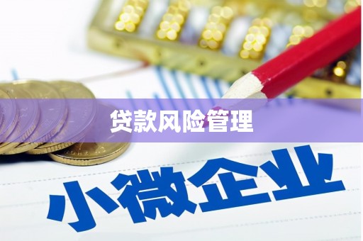 大祥贷款风险管理