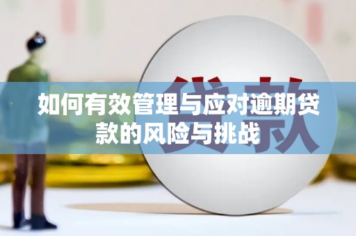 大祥如何有效管理与应对逾期贷款的风险与挑战