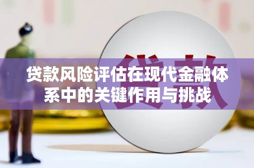 大祥贷款风险评估在现代金融体系中的关键作用与挑战
