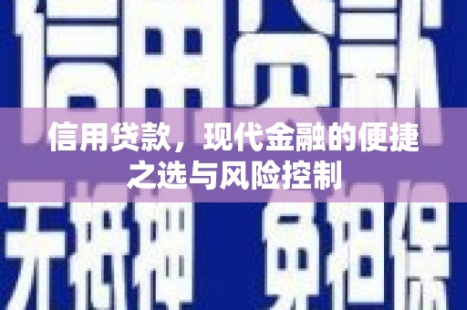 大祥信用贷款，现代金融的便捷之选与风险控制