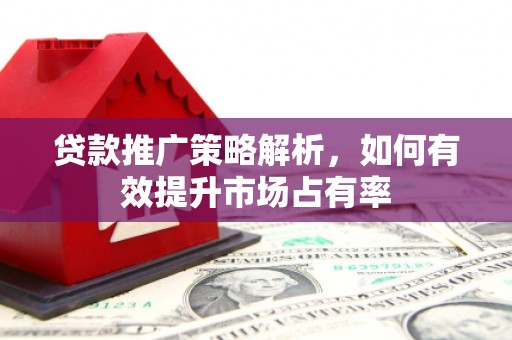大祥贷款推广策略解析，如何有效提升市场占有率