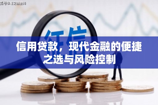 大祥信用贷款，现代金融的便捷之选与风险控制