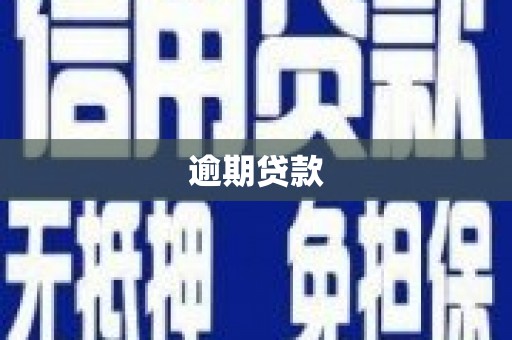 大祥逾期贷款