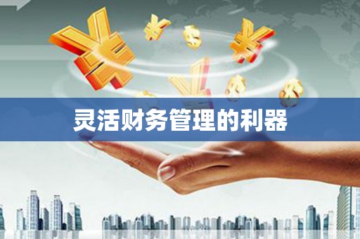 大祥灵活财务管理的利器