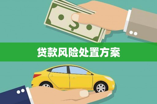 大祥贷款风险处置方案
