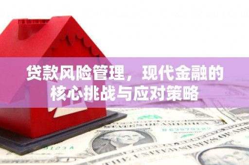 大祥贷款风险管理，现代金融的核心挑战与应对策略