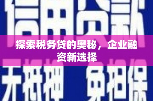 大祥探索税务贷的奥秘，企业融资新选择