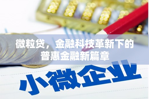 大祥微粒贷，金融科技革新下的普惠金融新篇章