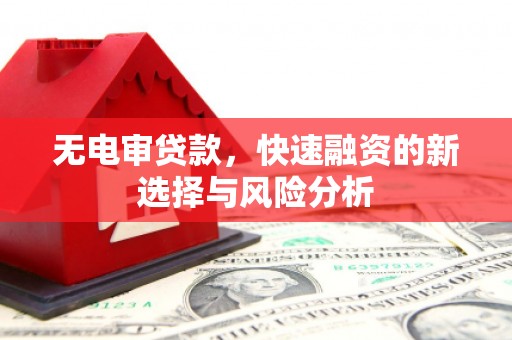 大祥无电审贷款，快速融资的新选择与风险分析