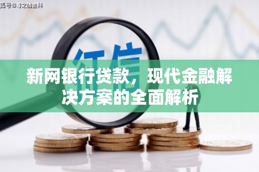大祥新网银行贷款，现代金融解决方案的全面解析