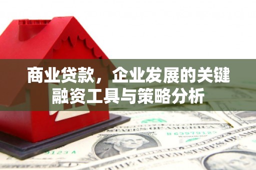 大祥商业贷款，企业发展的关键融资工具与策略分析