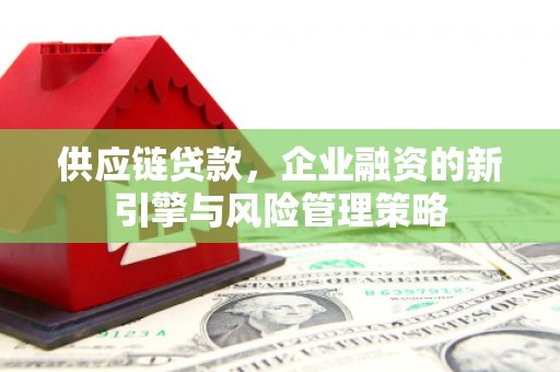 大祥供应链贷款，企业融资的新引擎与风险管理策略