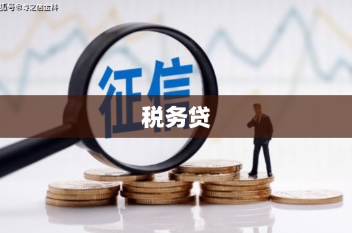 大祥税务贷