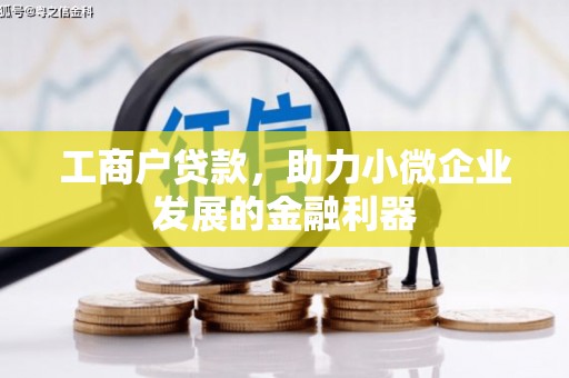 大祥工商户贷款，助力小微企业发展的金融利器