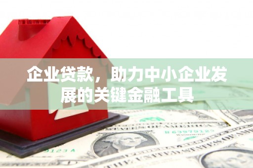 大祥企业贷款，助力中小企业发展的关键金融工具