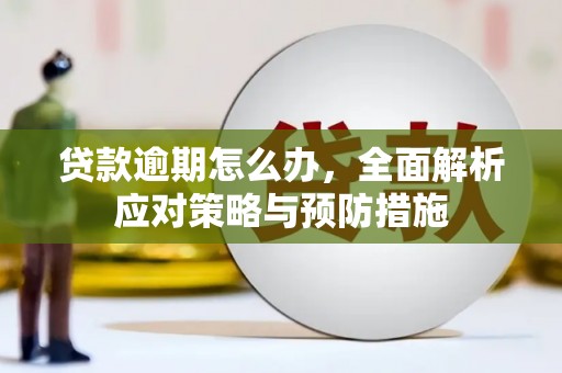 大祥贷款逾期怎么办，全面解析应对策略与预防措施