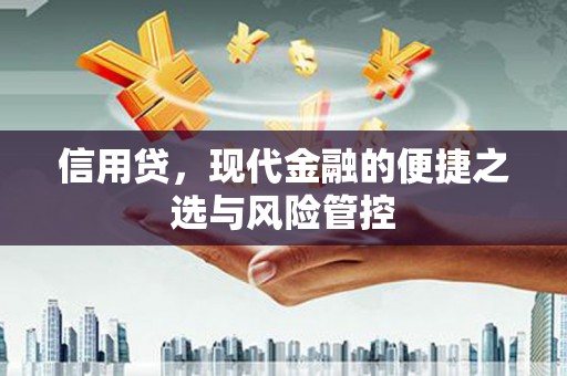 大祥信用贷，现代金融的便捷之选与风险管控