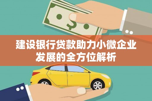 大祥建设银行贷款助力小微企业发展的全方位解析