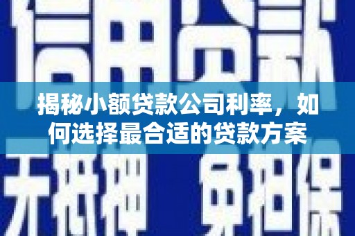 大祥揭秘小额贷款公司利率，如何选择最合适的贷款方案