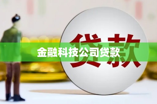 大祥金融科技公司贷款