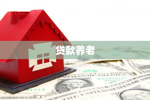 大祥贷款养老