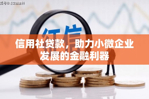 大祥信用社贷款，助力小微企业发展的金融利器